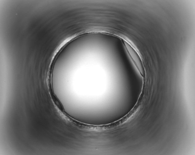 X0000086000901200704091035