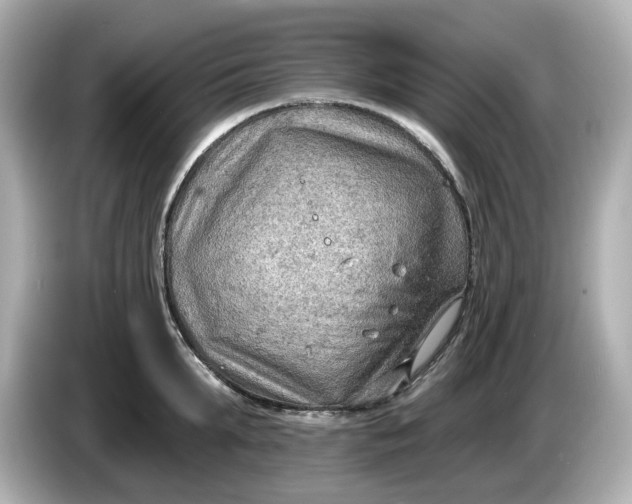 X0000086000903200704091035