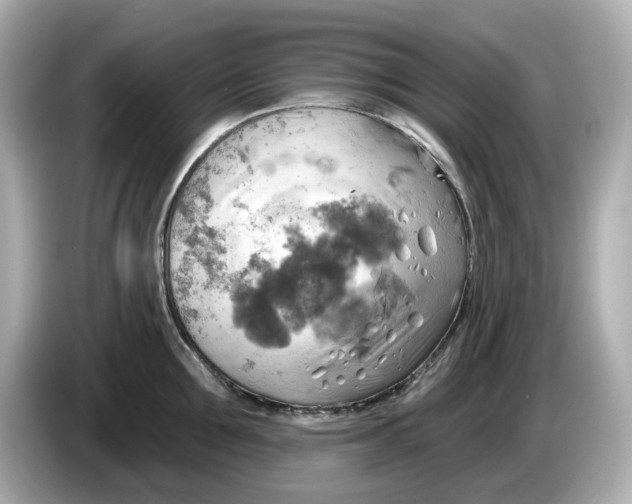 X0000086000907200704091035