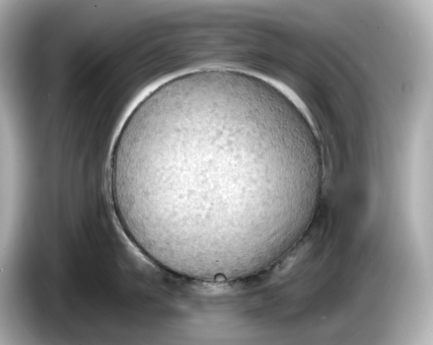 X0000086000911200704091035