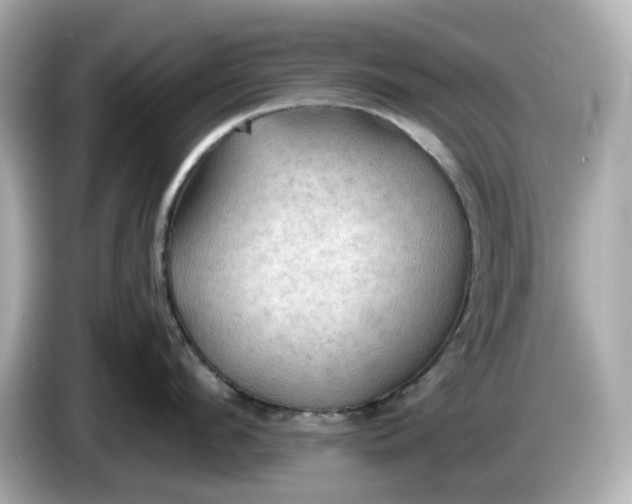 X0000086000912200704091035