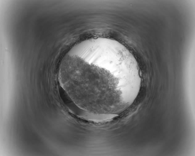 X0000086000913200704091034