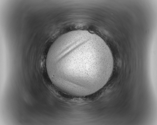 X0000086000914200704091034