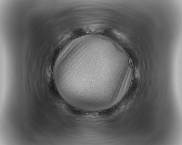 X0000086000915200704091034