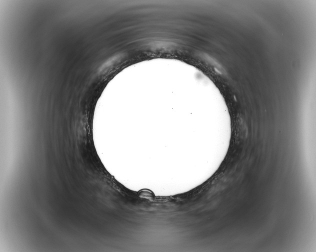 X0000086000918200704091035