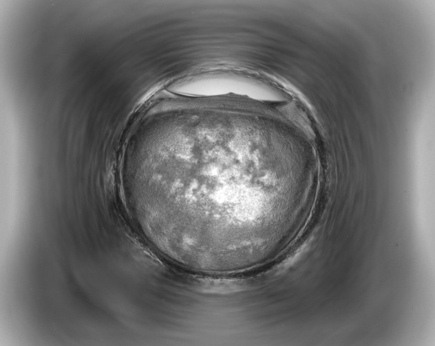 X0000086000921200704091035