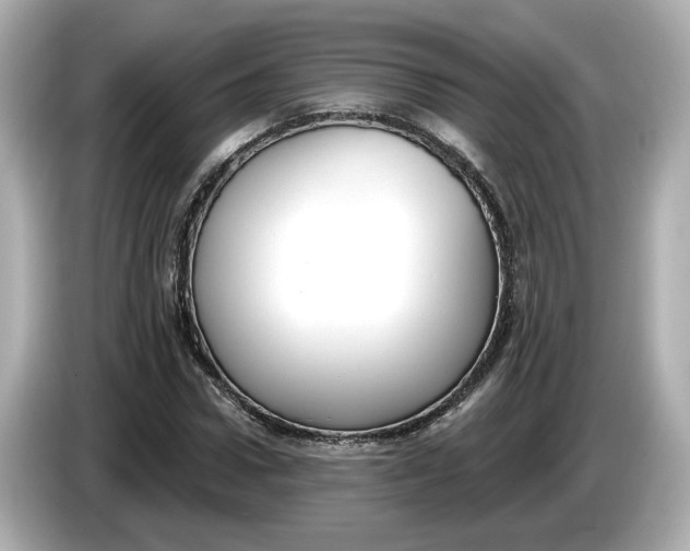 X0000086000922200704091035