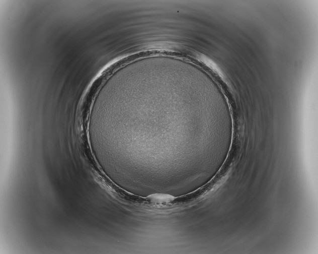 X0000086000923200704091035