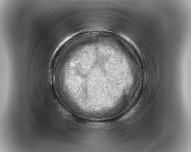 X0000086000925200704091035