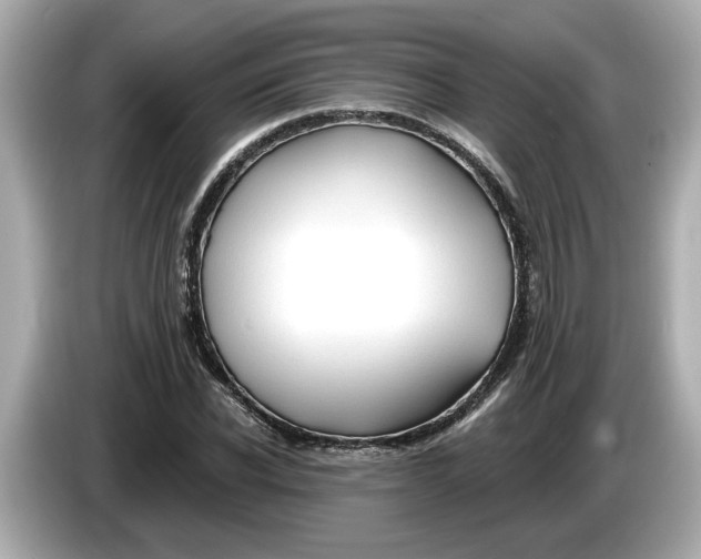 X0000086000926200704091035