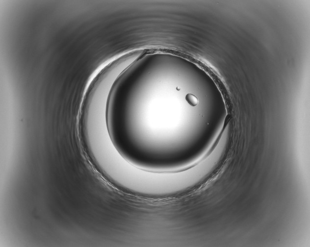 X0000086000928200704091035