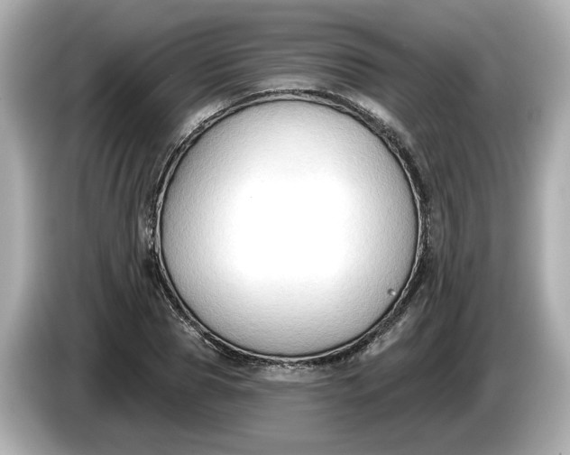 X0000086000929200704091035