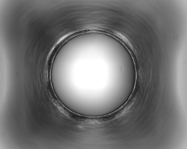 X0000086000931200704091035