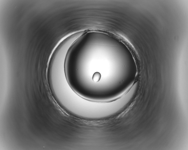 X0000086000932200704091035