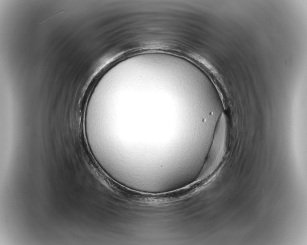 X0000086000933200704091035