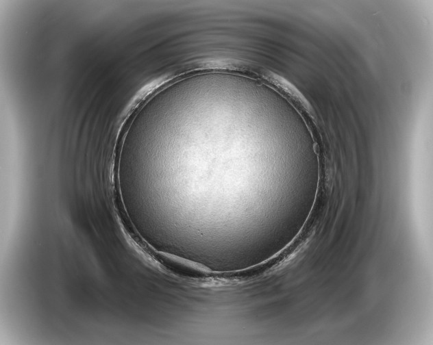 X0000086000938200704091035