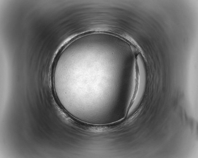 X0000086000939200704091035