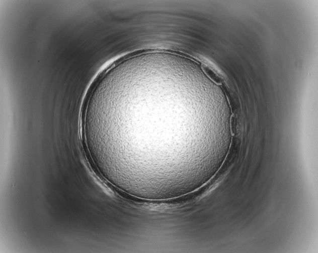 X0000086000940200704091035