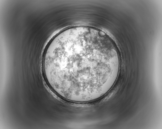 X0000086000941200704091035