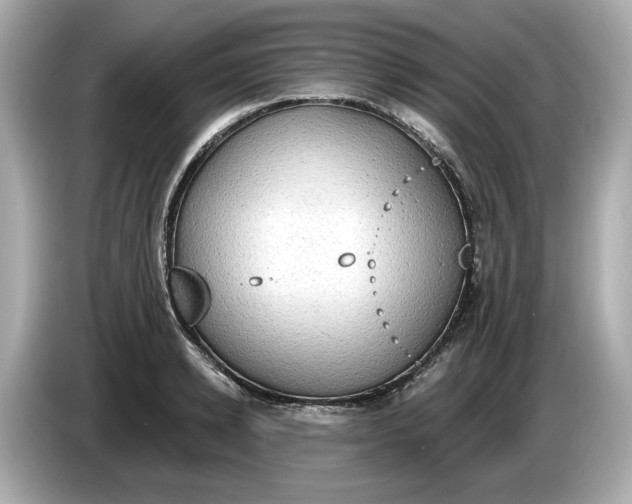 X0000086000942200704091035