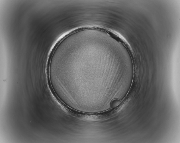 X0000086000943200704091035