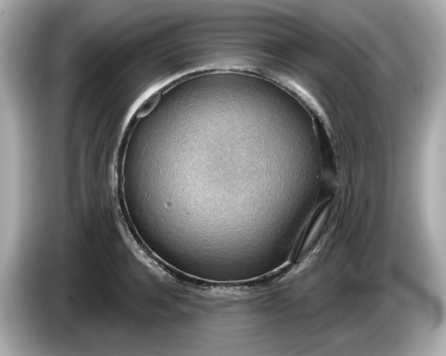 X0000086000944200704091035