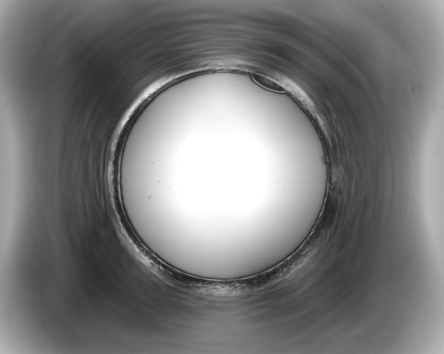 X0000086000947200704091035