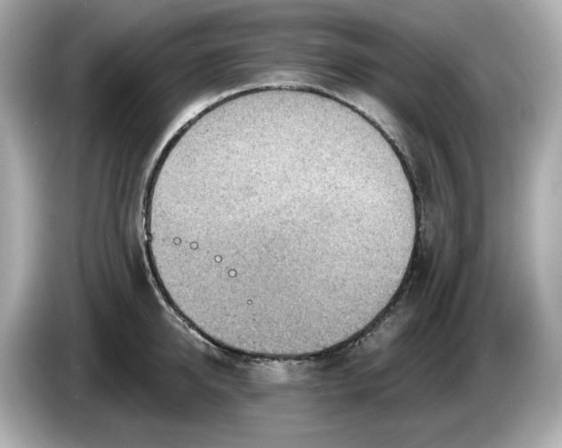 X0000086000950200704091035