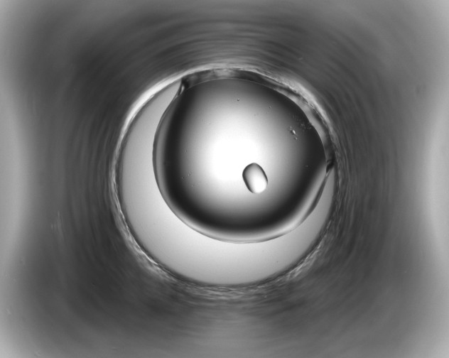 X0000086000952200704091035