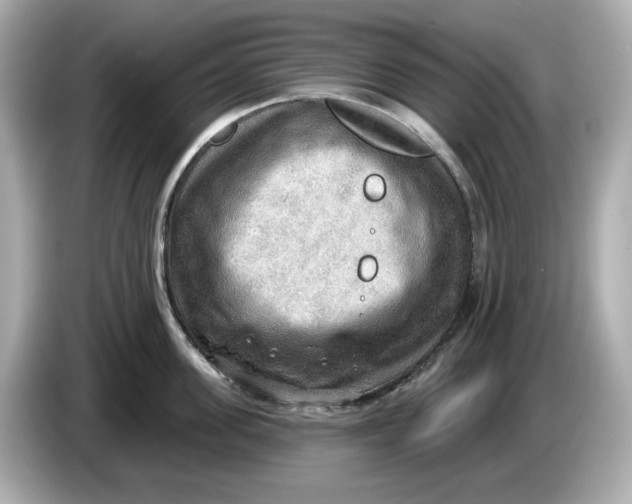 X0000086000955200704091035