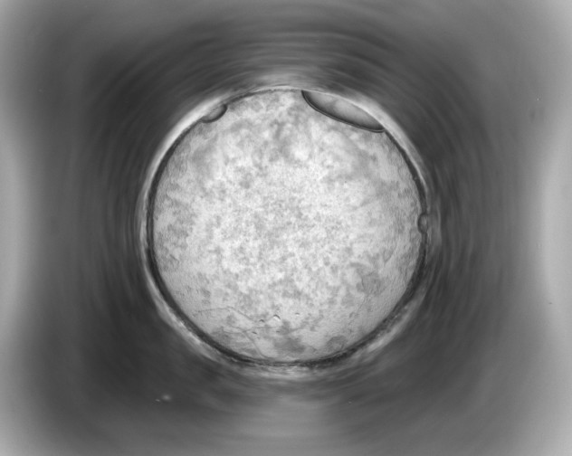 X0000086000957200704091035