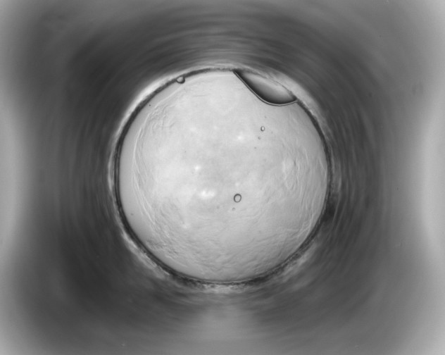 X0000086000958200704091035