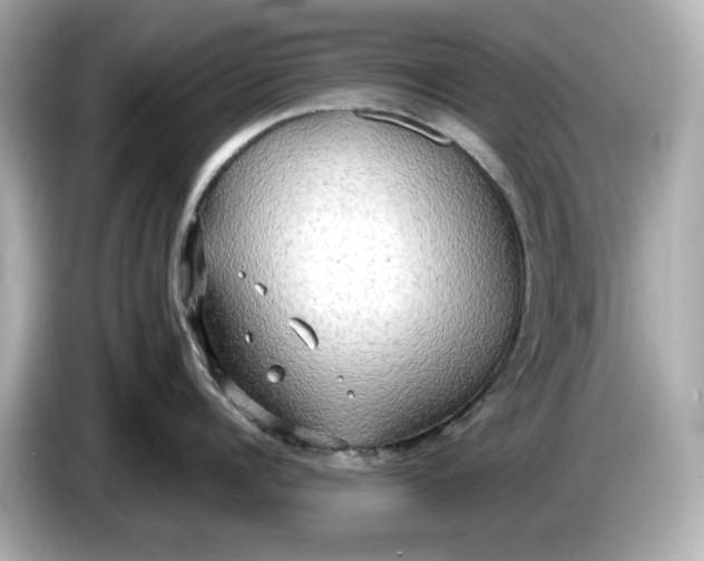 X0000086000960200704091035