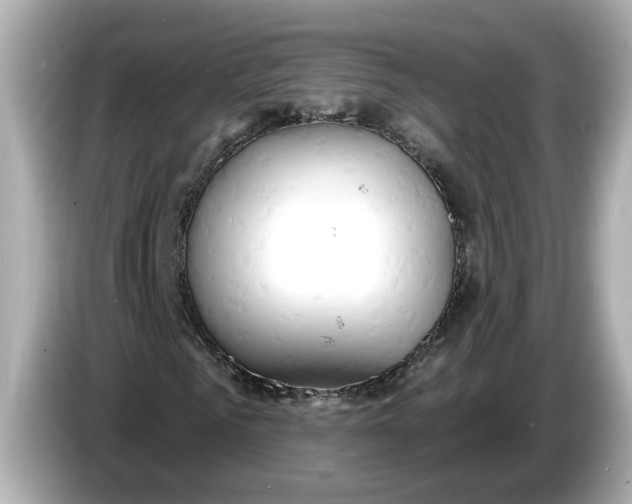 X0000086000961200704091034