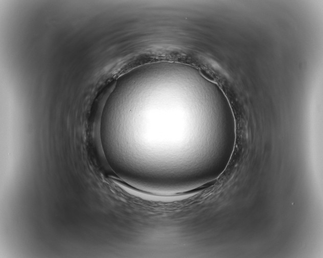 X0000086000965200704091034