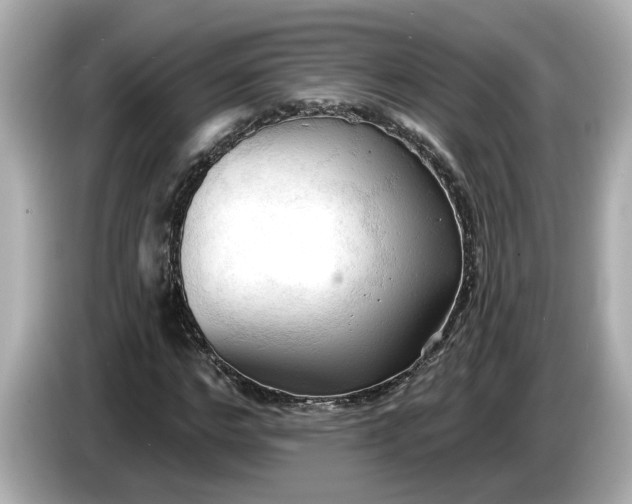 X0000086000968200704091034