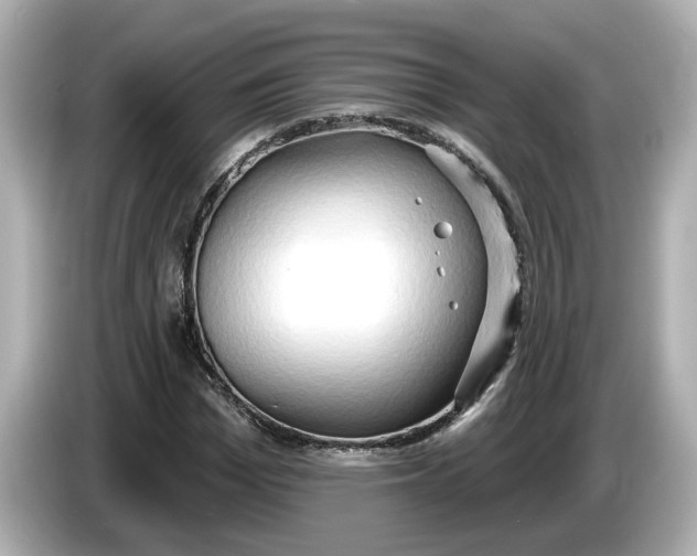 X0000086000969200704091034