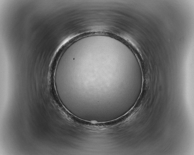 X0000086000975200704091034