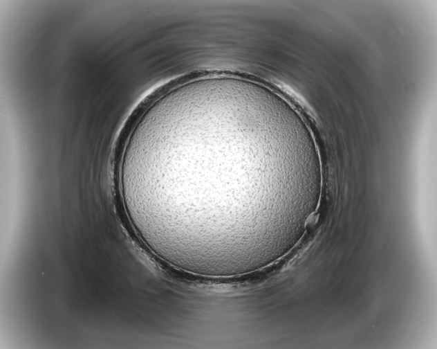 X0000086000976200704091034