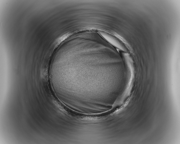 X0000086000977200704091034