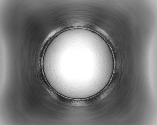 X0000086000978200704091034