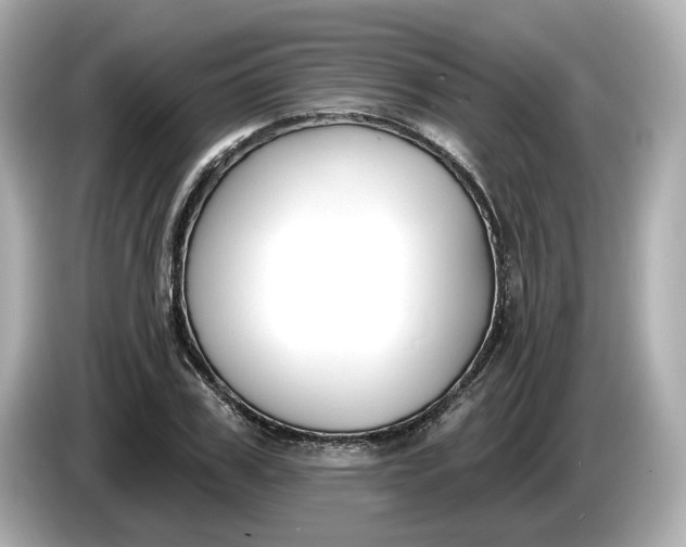 X0000086000979200704091034