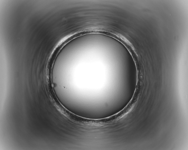 X0000086000981200704091034