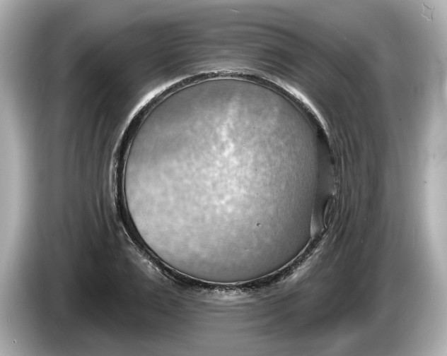 X0000086000983200704091034