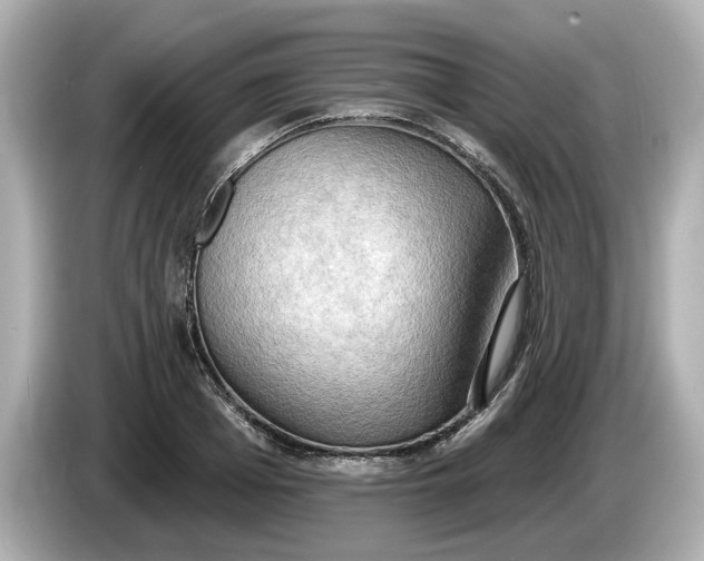 X0000086000985200704091034