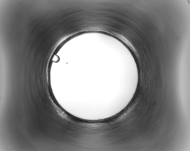 X0000086000988200704091034