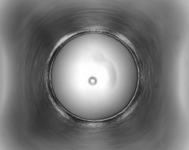 X0000086000989200704091034