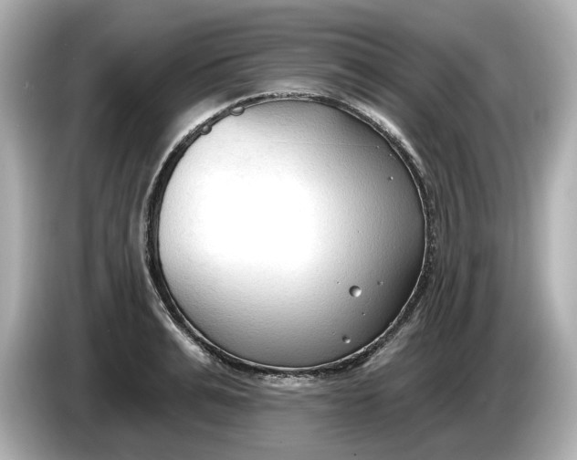 X0000086000991200704091034