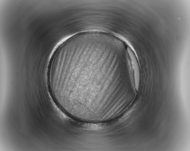 X0000086000995200704091034