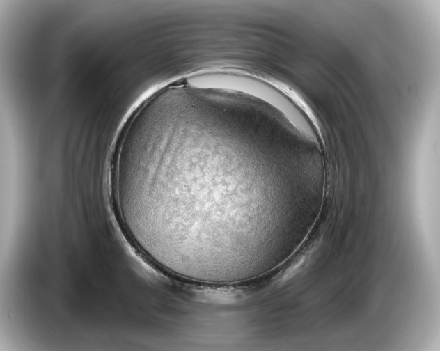 X0000086000999200704091034